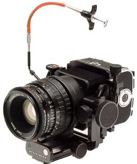 Hasselblad FlexBody