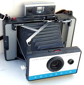 Polaroid 135