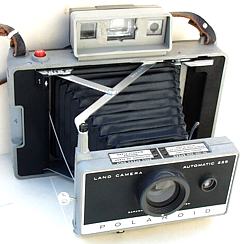 Polaroid 225
