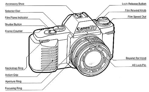 Canon T50