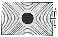Pentax Spotmatic Motor Drive