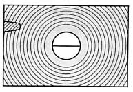 Praktica Nova B (151)