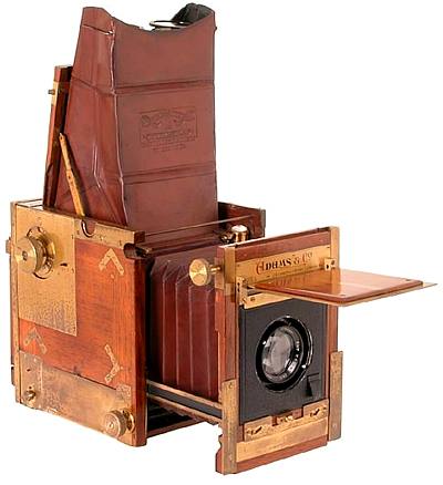 Adams & Co. Minex Tropical