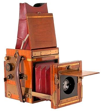 Marion Soho Tropical Reflex