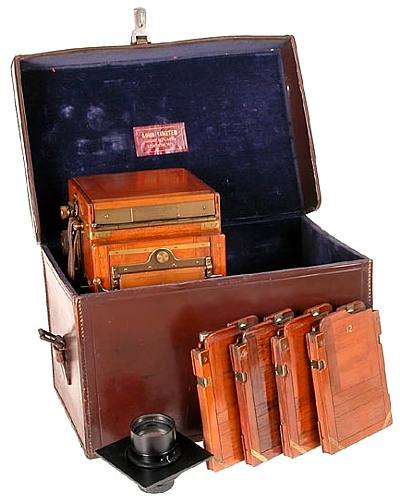 Marion Soho Tropical Reflex