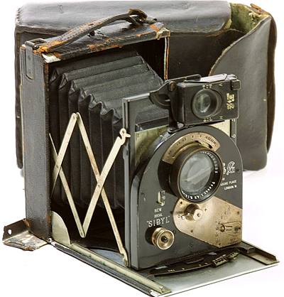 Newman & Guardia New Ideal Sibyl