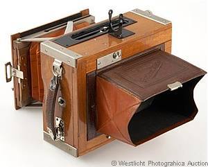 Nettel Tropen Deckrullo