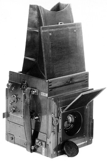 Ross Tropical Reflex