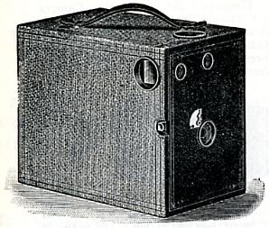 Western Cyclone Senior