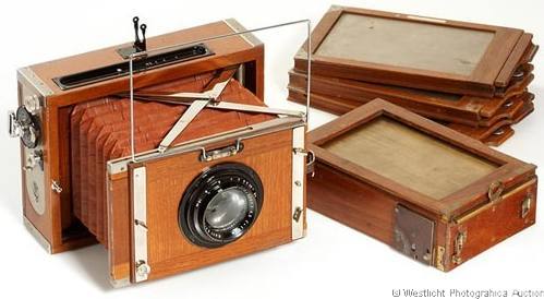 Contessa Tropen Deckrullo 10x15