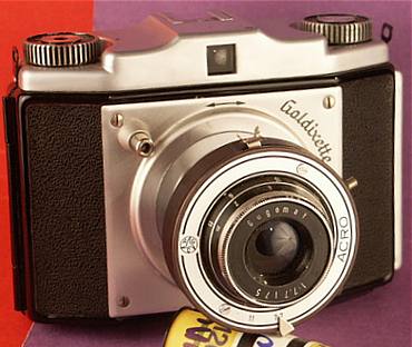 Goldammer Goldixette