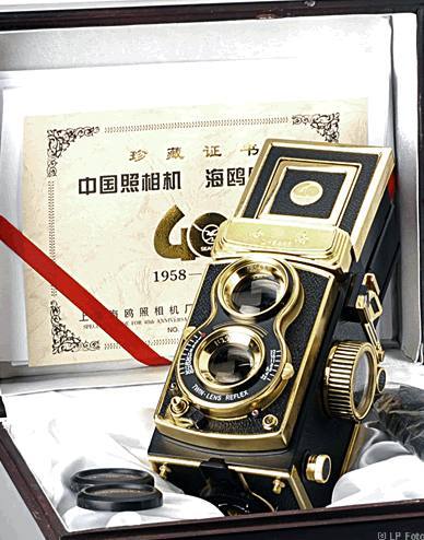 Seagull 40th Anniversary