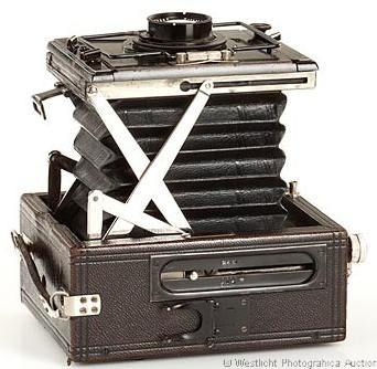 Contessa Deckrullo 6.5x9